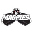 magpies